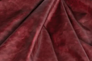 CLUB SCARLET