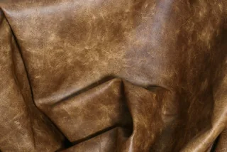 OLD CAMEL