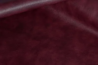 STELLA CLEAN BORDO