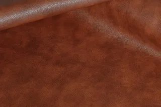 STELLA CLEAN BROWN