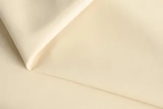 STELLA CLEAN CANVANS