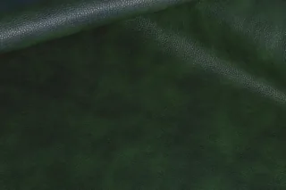 STELLA CLEAN GREEN